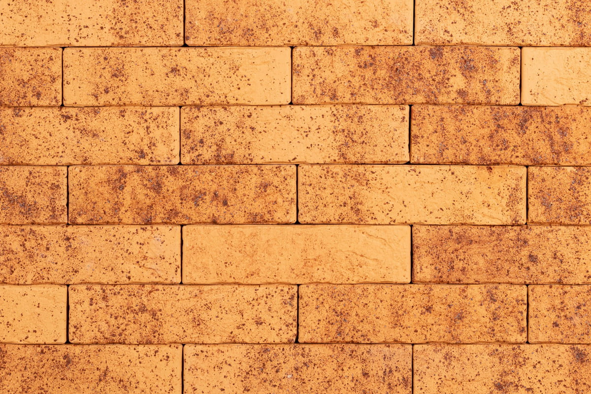 Тайга морошка скала 1НФ